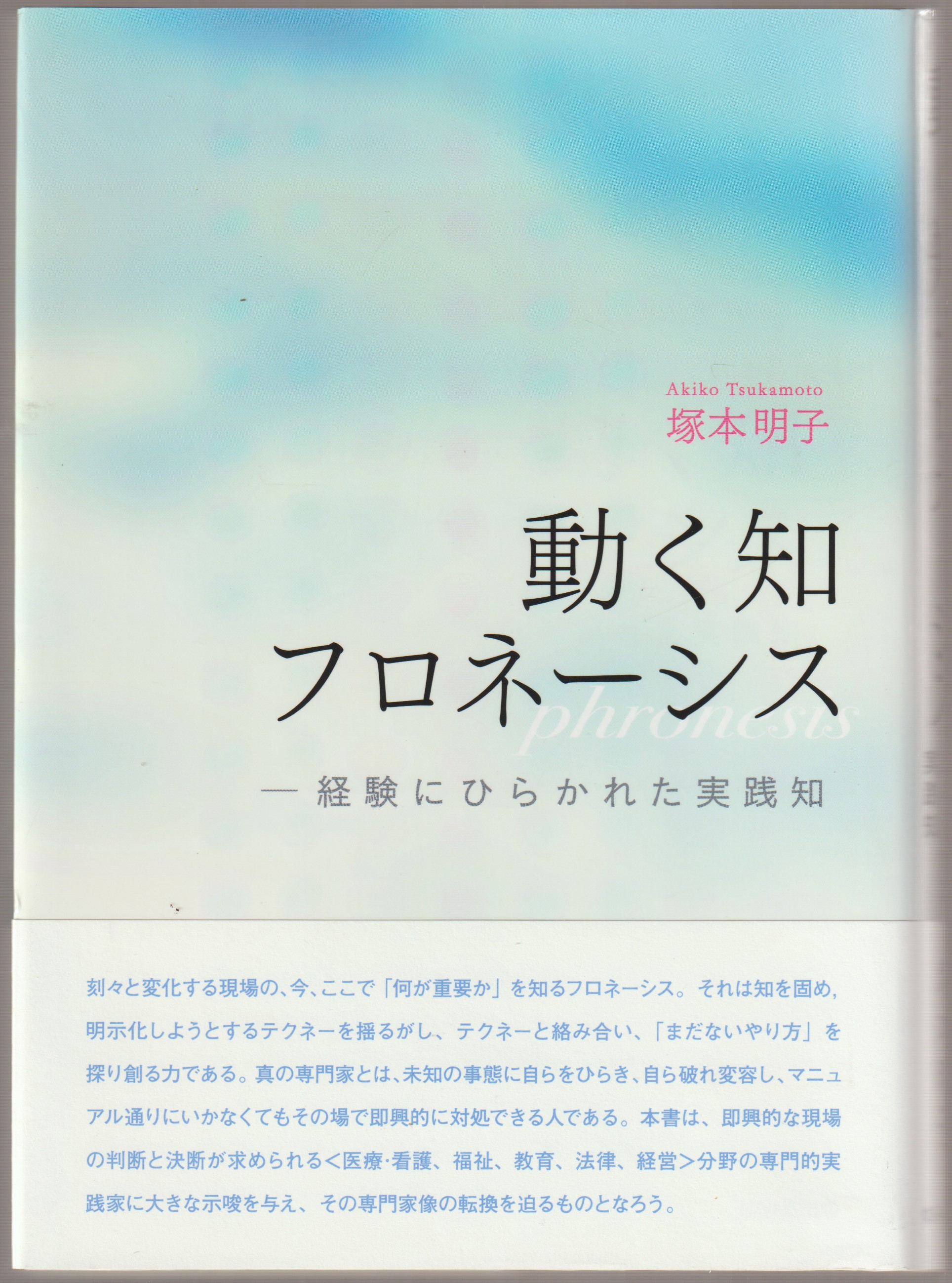 動く知フロネーシス : 経験にひらかれた実践知 動く知フロネーシス : 経験にひらかれた実践知