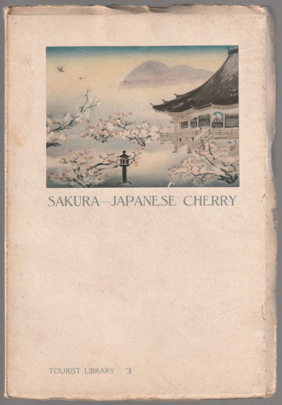 Sakura : Japanese cherry.