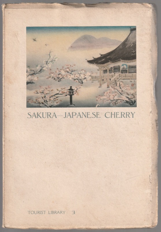 Sakura : Japanese cherry. Sakura : Japanese cherry.