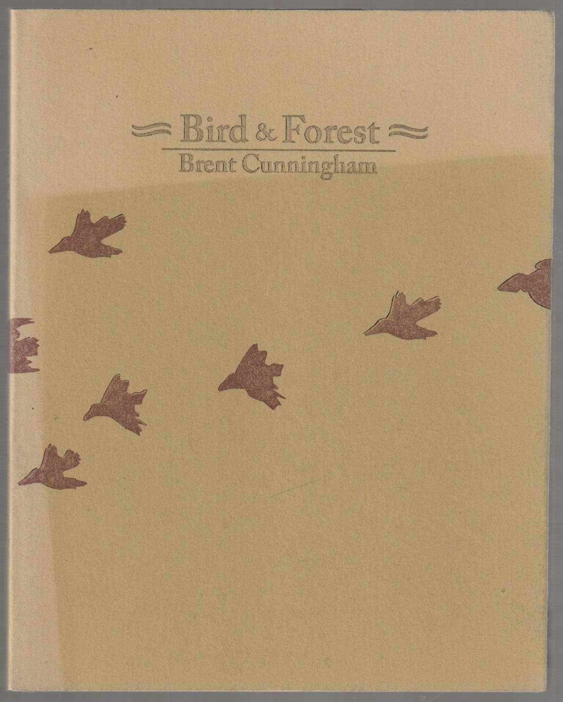 Bird & forest. Bird & forest.