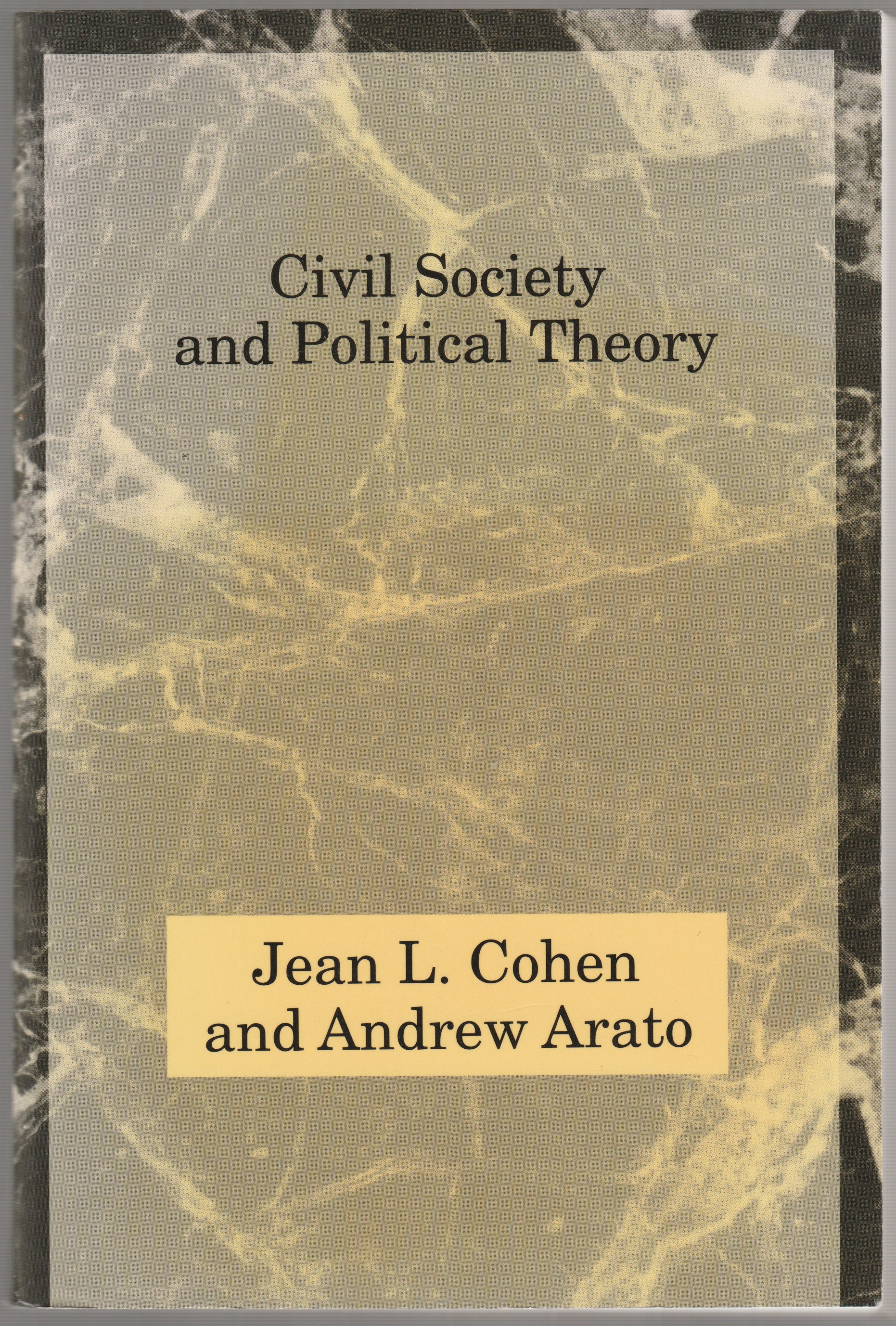 Civil society and political theory. Civil society and political theory.