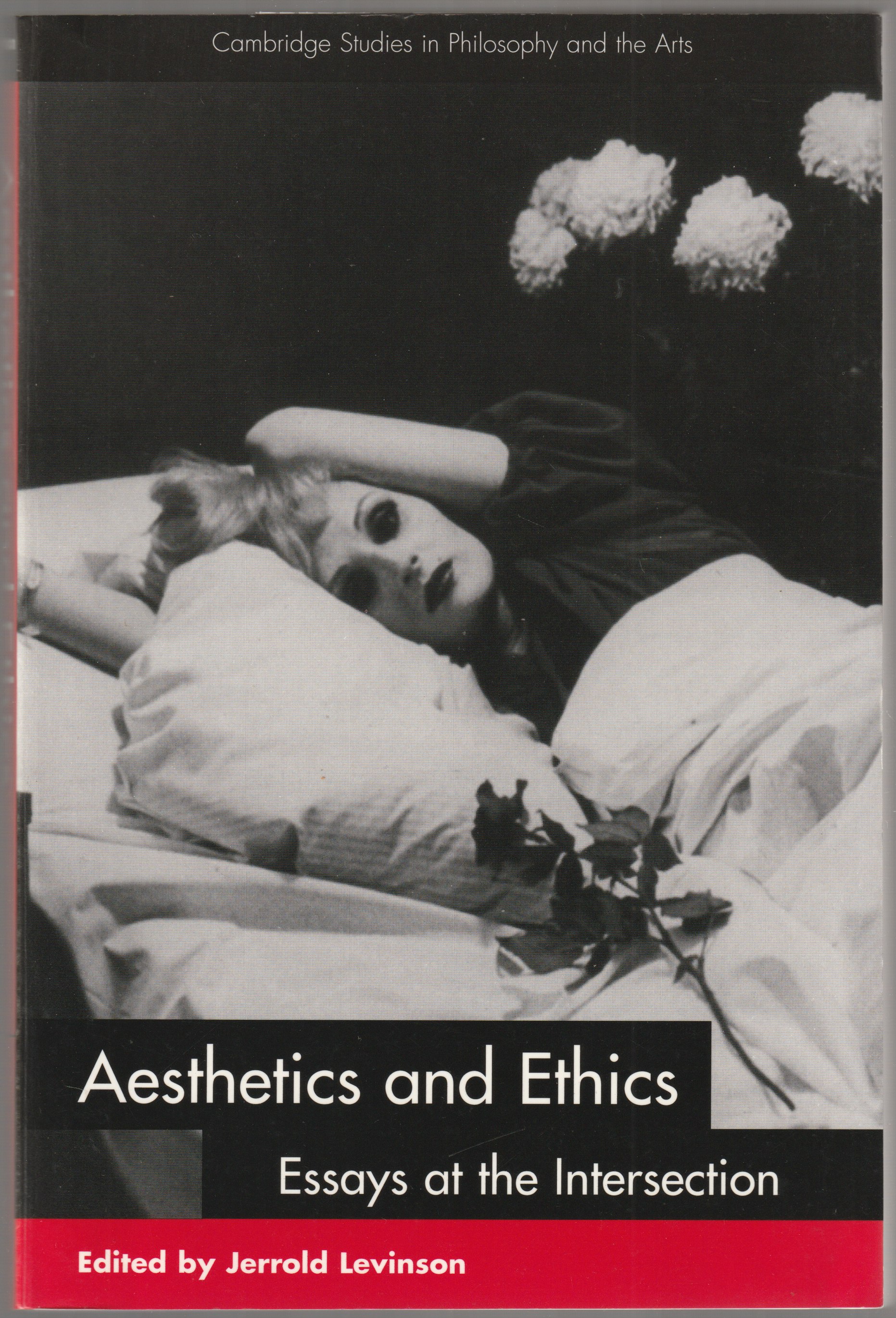 Aesthetics and ethics : essays at the intersection. Aesthetics and ethics : essays at the intersection.