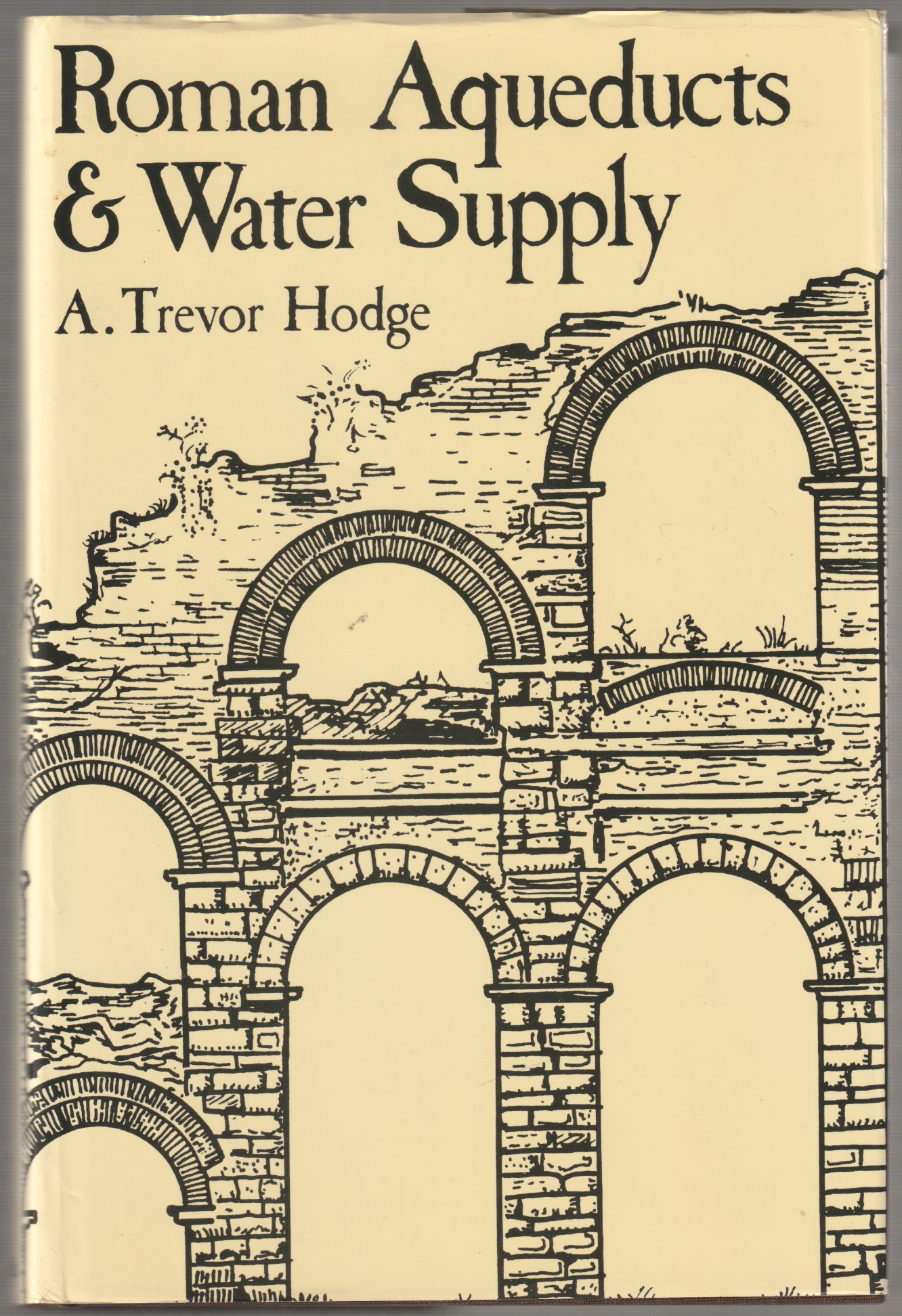 Roman aqueducts & water supply. Roman aqueducts & water supply.