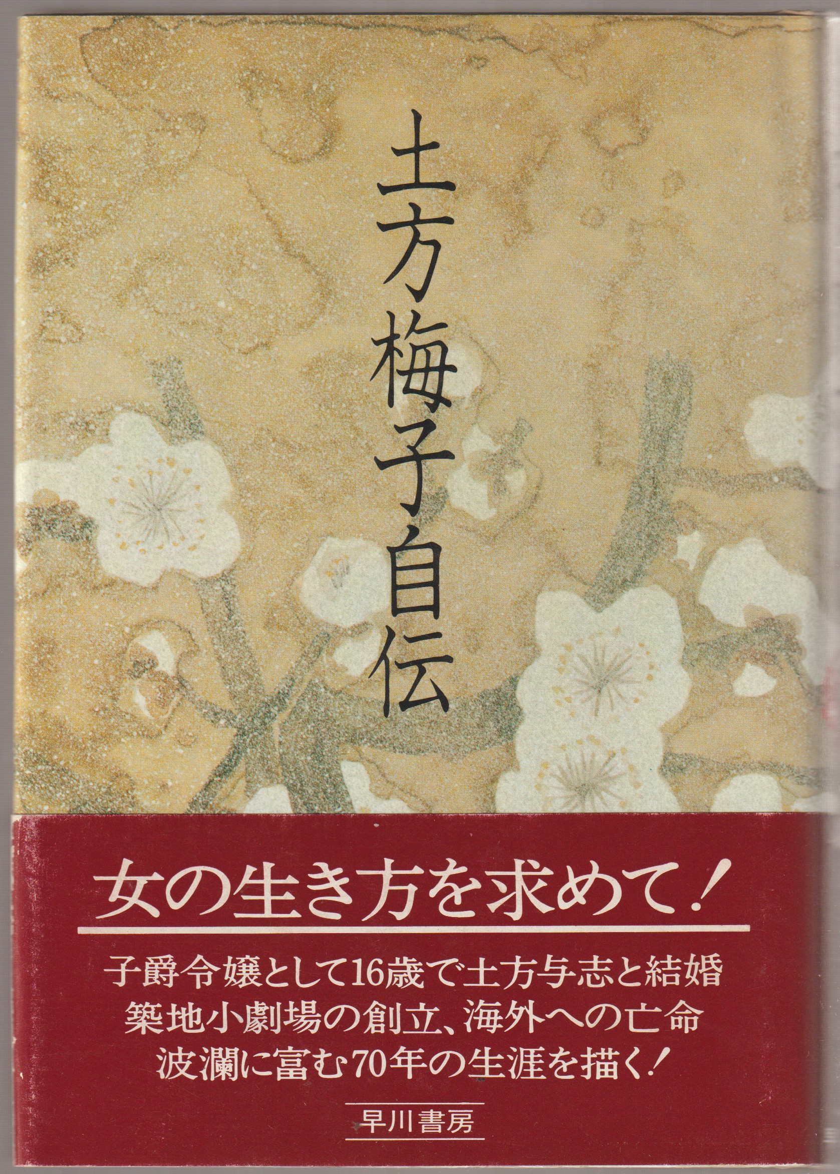 土方梅子自伝 土方梅子自伝