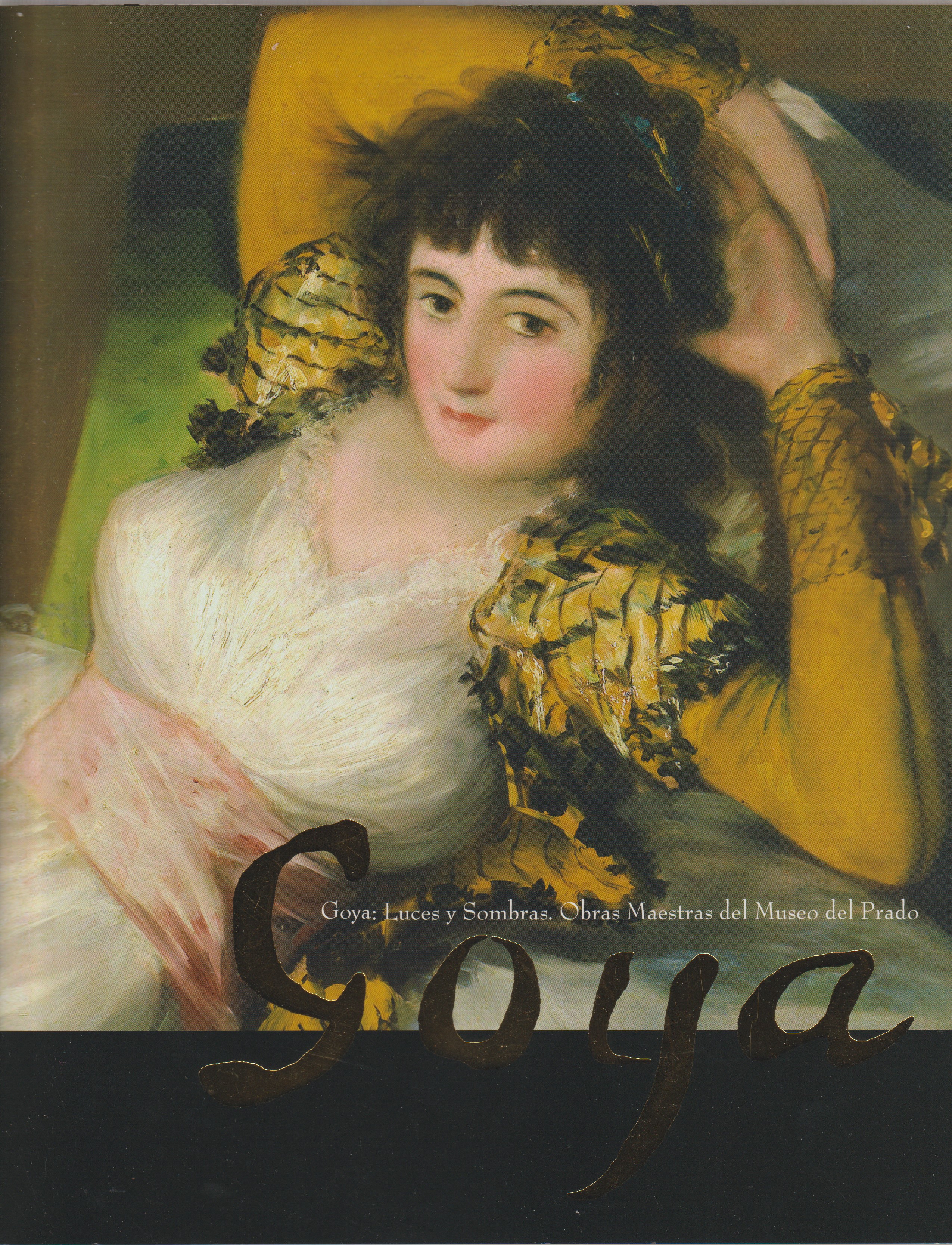 プラド美術館所蔵ゴヤ = Goya : 光と影